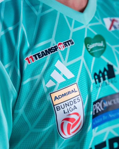TSV Hartberg 2024-25 Away Kit