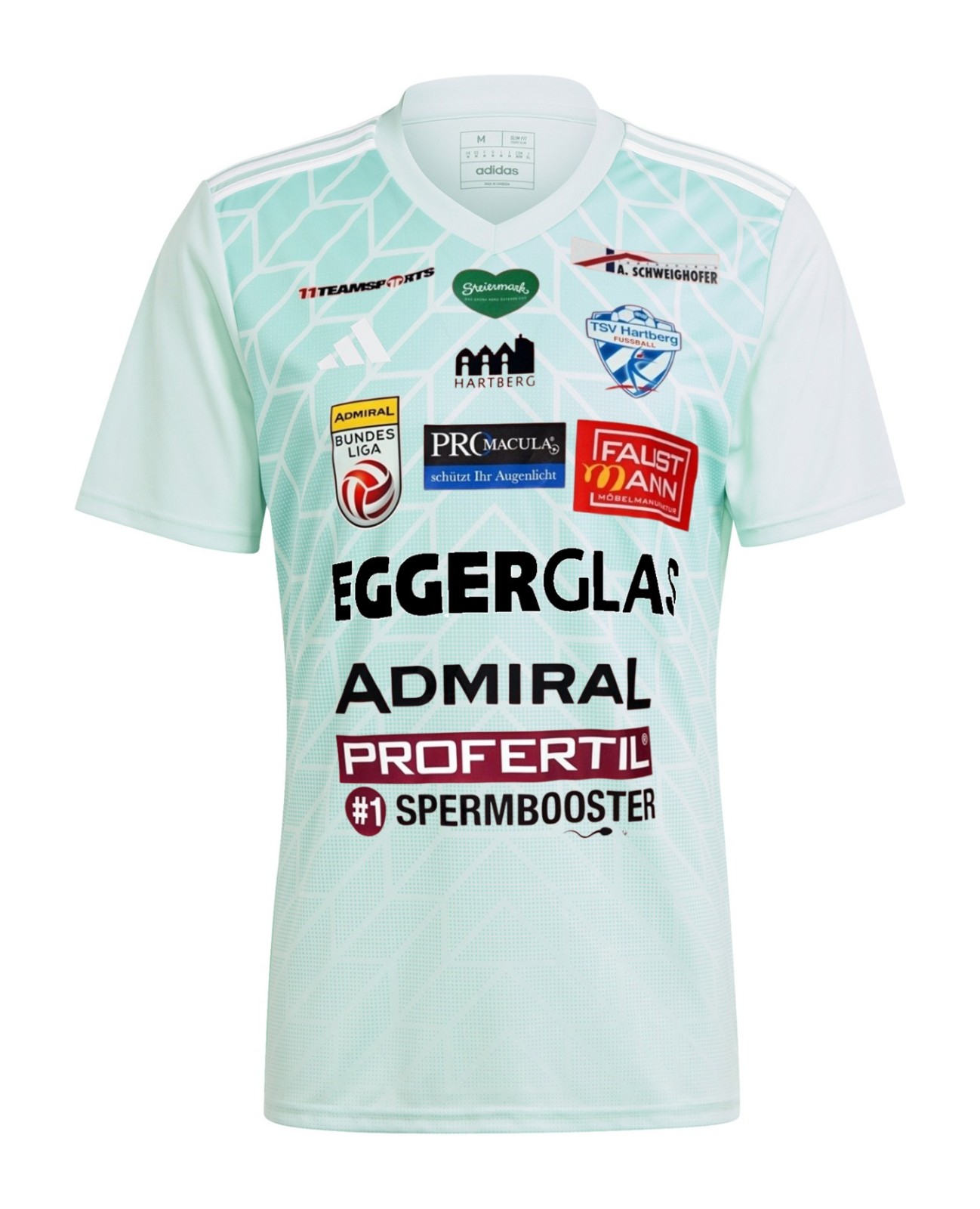 TSV Hartberg 2024-25 Away Kit