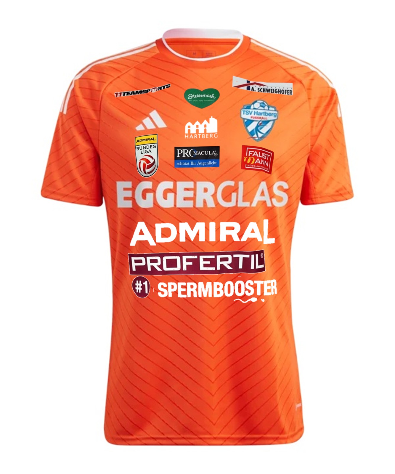 TSV Hartberg 2024-25 Third Kit