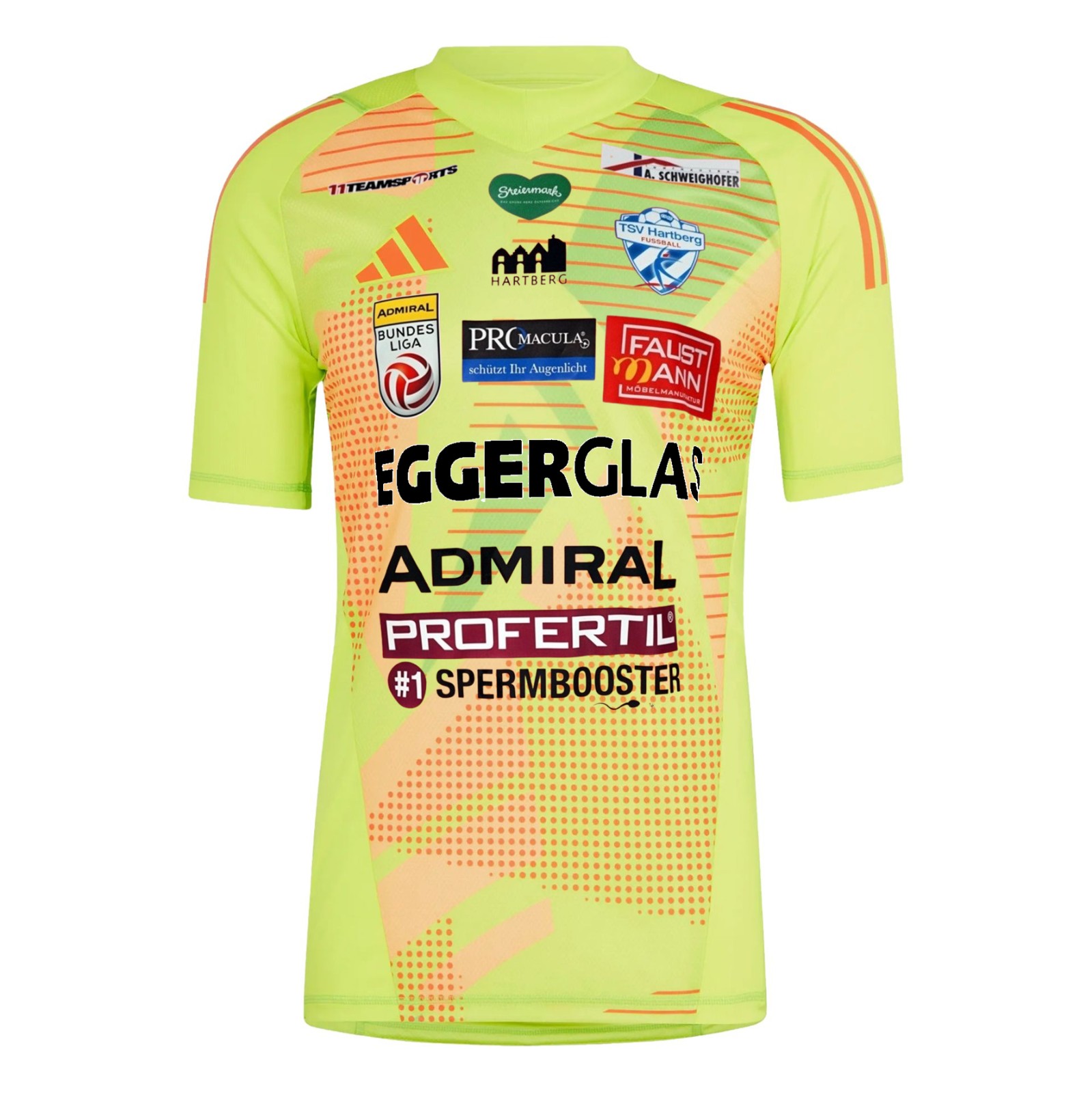 TSV Hartberg 2024-25 GK 1 Kit