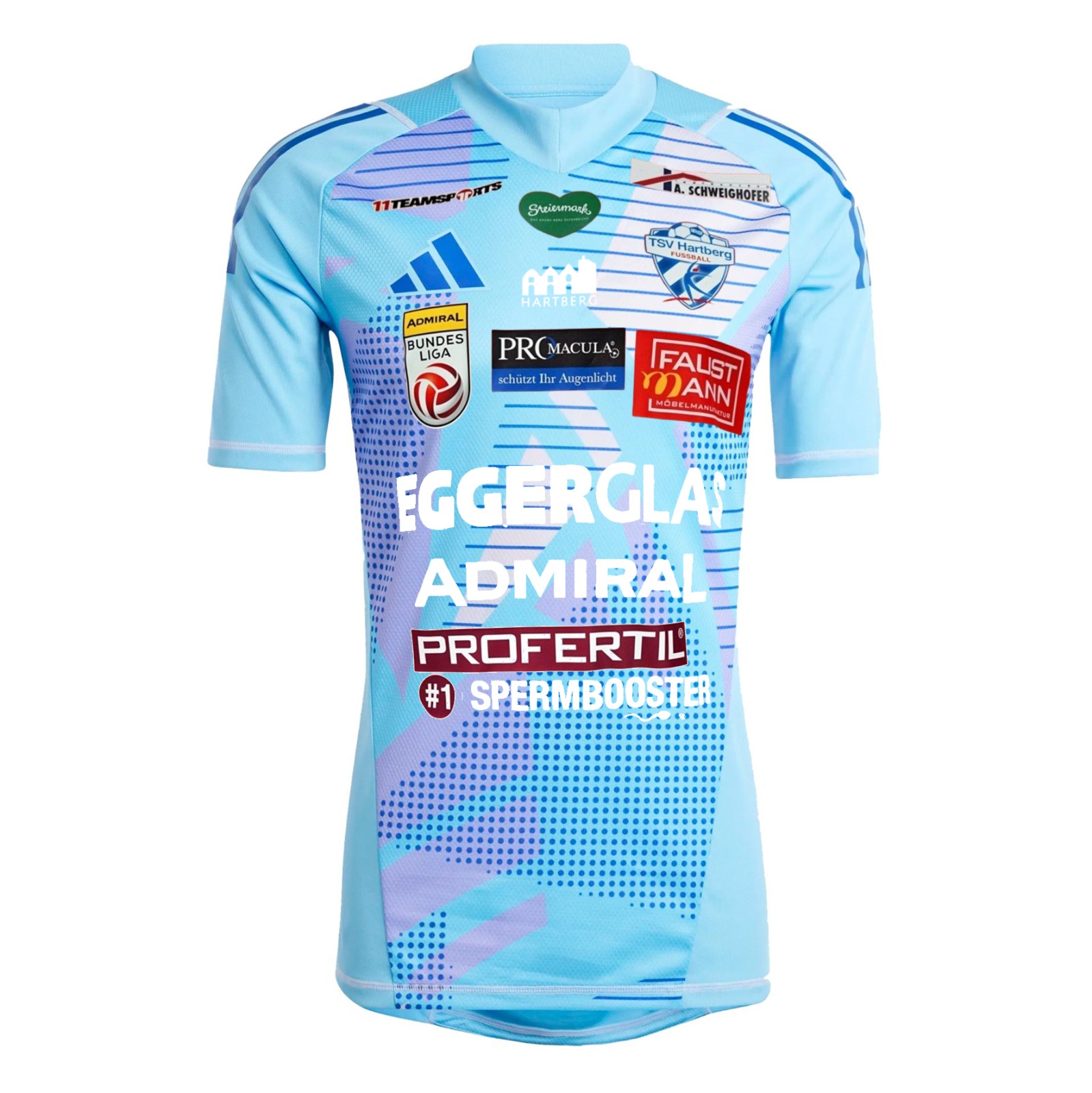 TSV Hartberg 2024-25 GK 2 Kit
