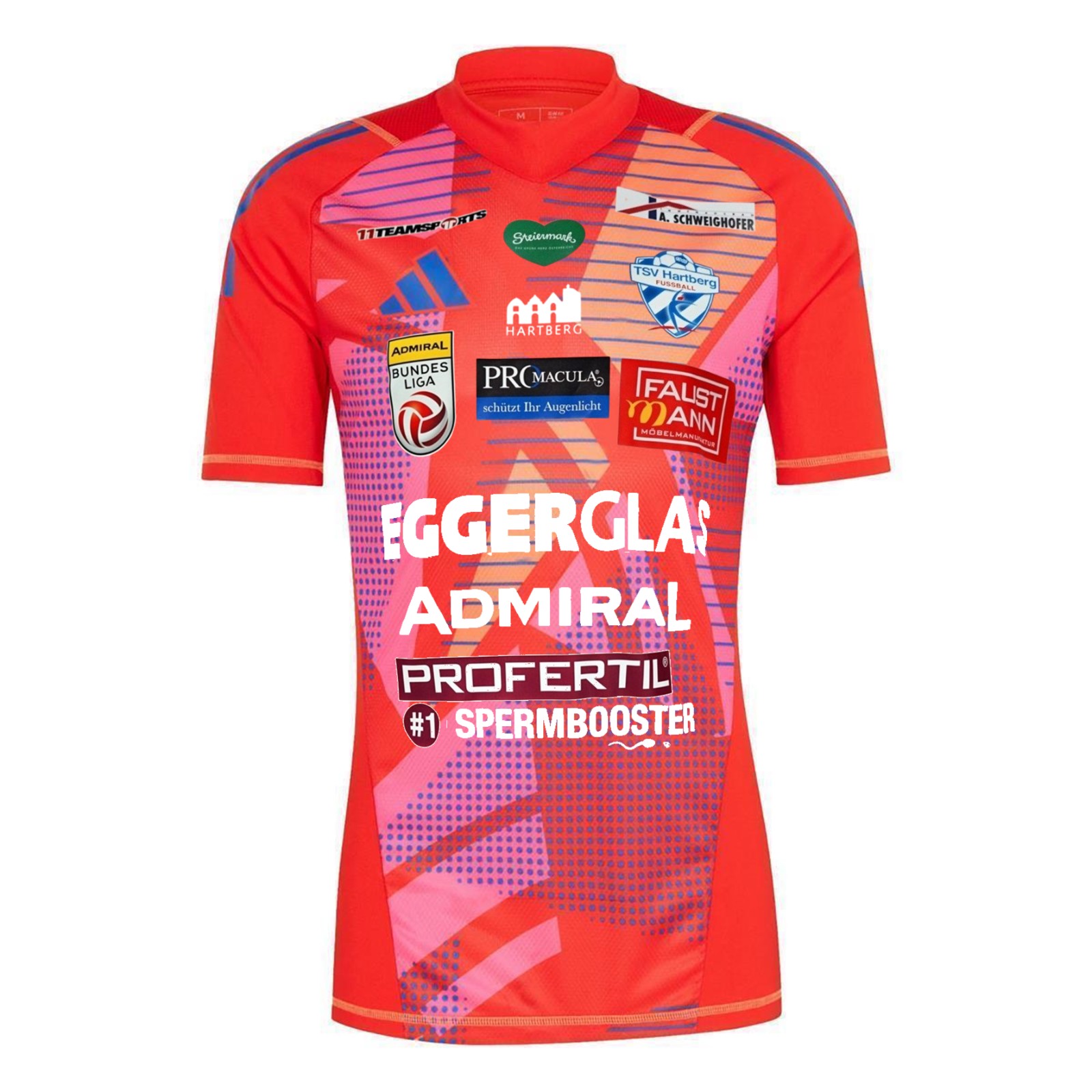 TSV Hartberg 2024-25 GK 3 Kit