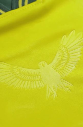 Defensa y Justicia 2025 Home Kit