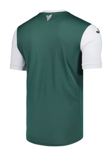 Hibernian 2025-26 Home Kit