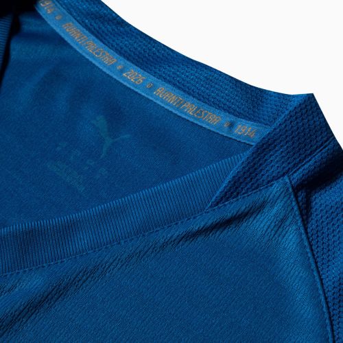 Palmeiras 2026 Third Kit