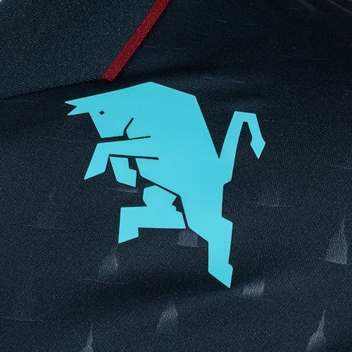 Torino FC 2026-27 Third Kit