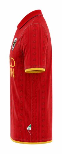 AFC Wimbledon 2026-27 Away Kit