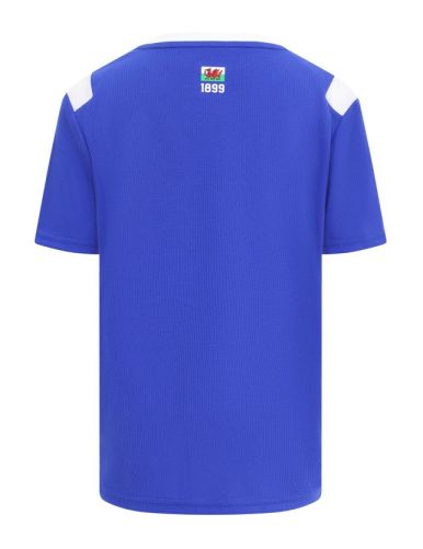 Cardiff City 2026-27 Home Kit