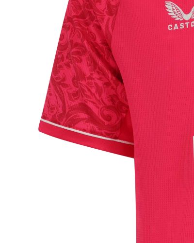 Cardiff City 2026-27 Third Kit