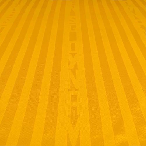 SG Dynamo Dresden 2026-27 Home Kit
