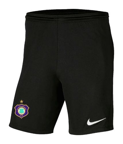 Erzgebirge Aue 2026-27 Third Kit