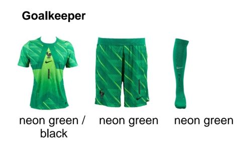 France 2026 GK 3 Kit