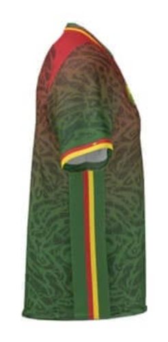 Cameroon 2024 Home Kit