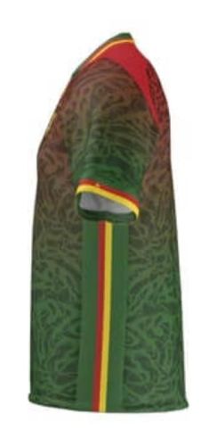 Cameroon 2024 Home Kit