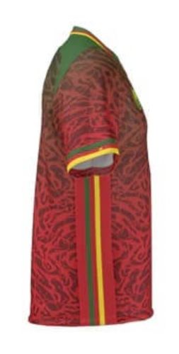 Cameroon 2024 Away Kit