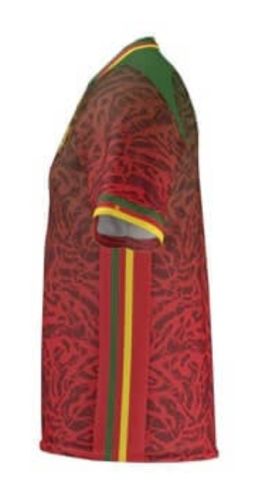 Cameroon 2024 Away Kit