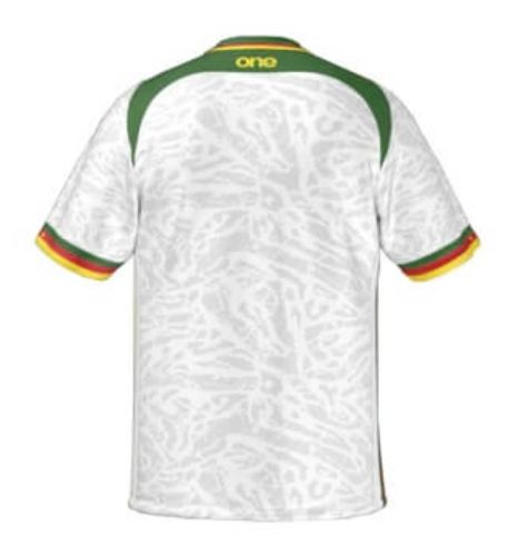 Cameroon 2024 Third Kit