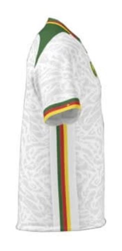 Cameroon 2024 Third Kit