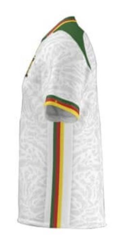 Cameroon 2024 Third Kit