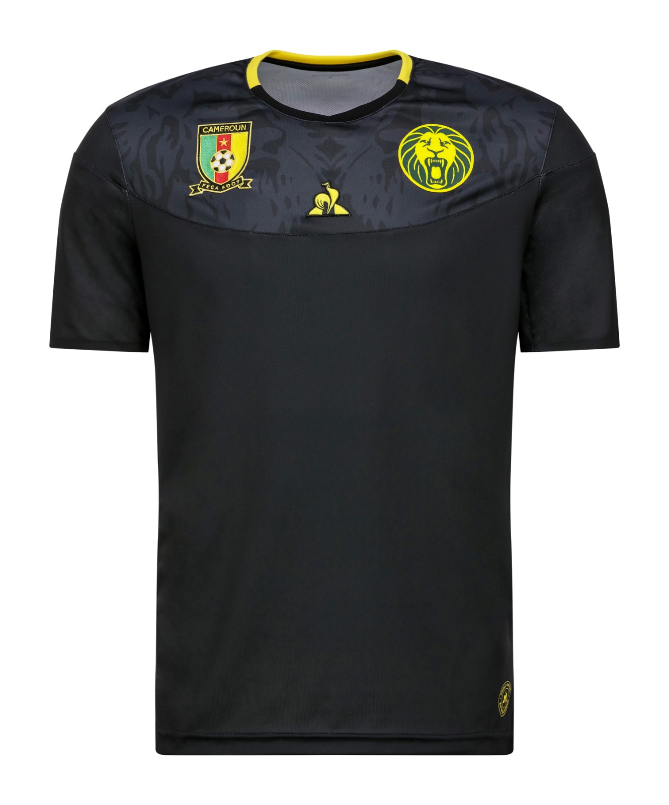Cameroon 2019 GK 1 Kit