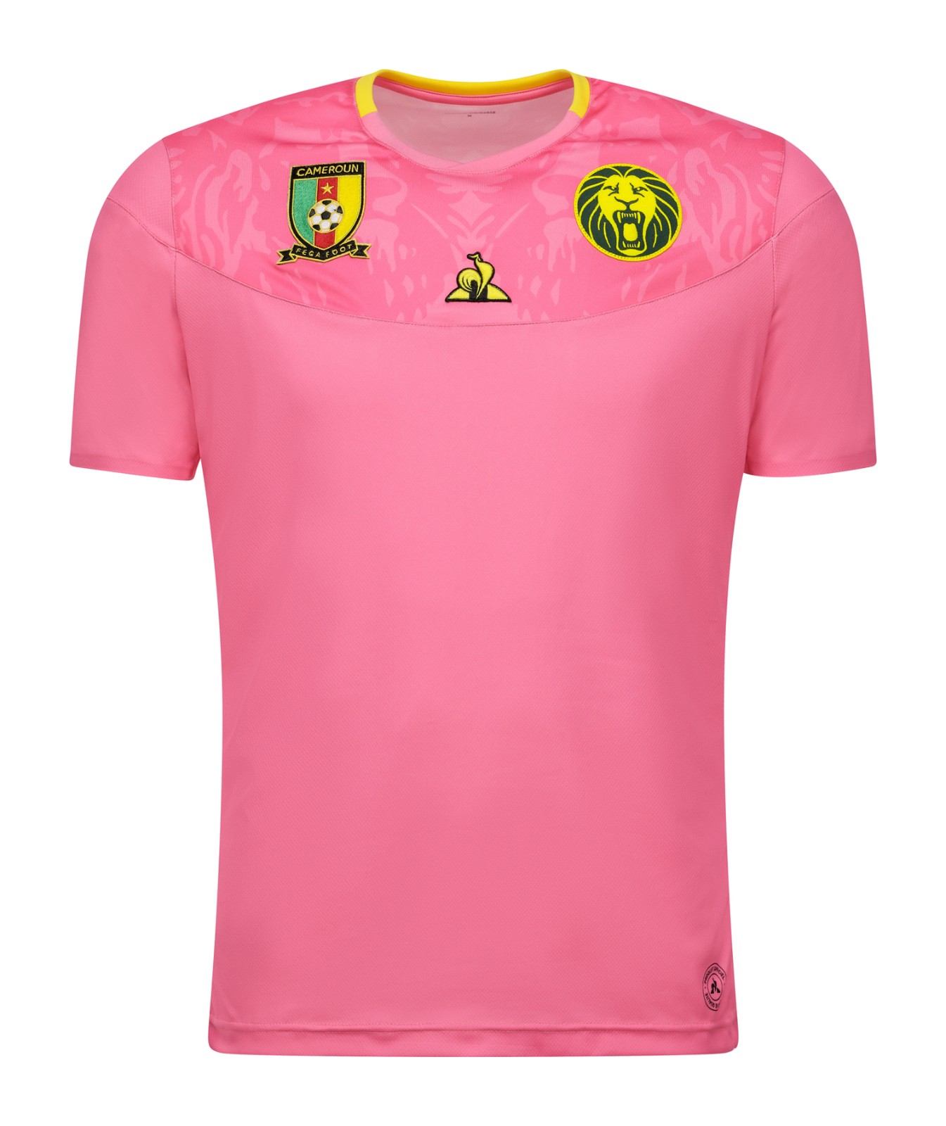 Cameroon 2019 GK 2 Kit