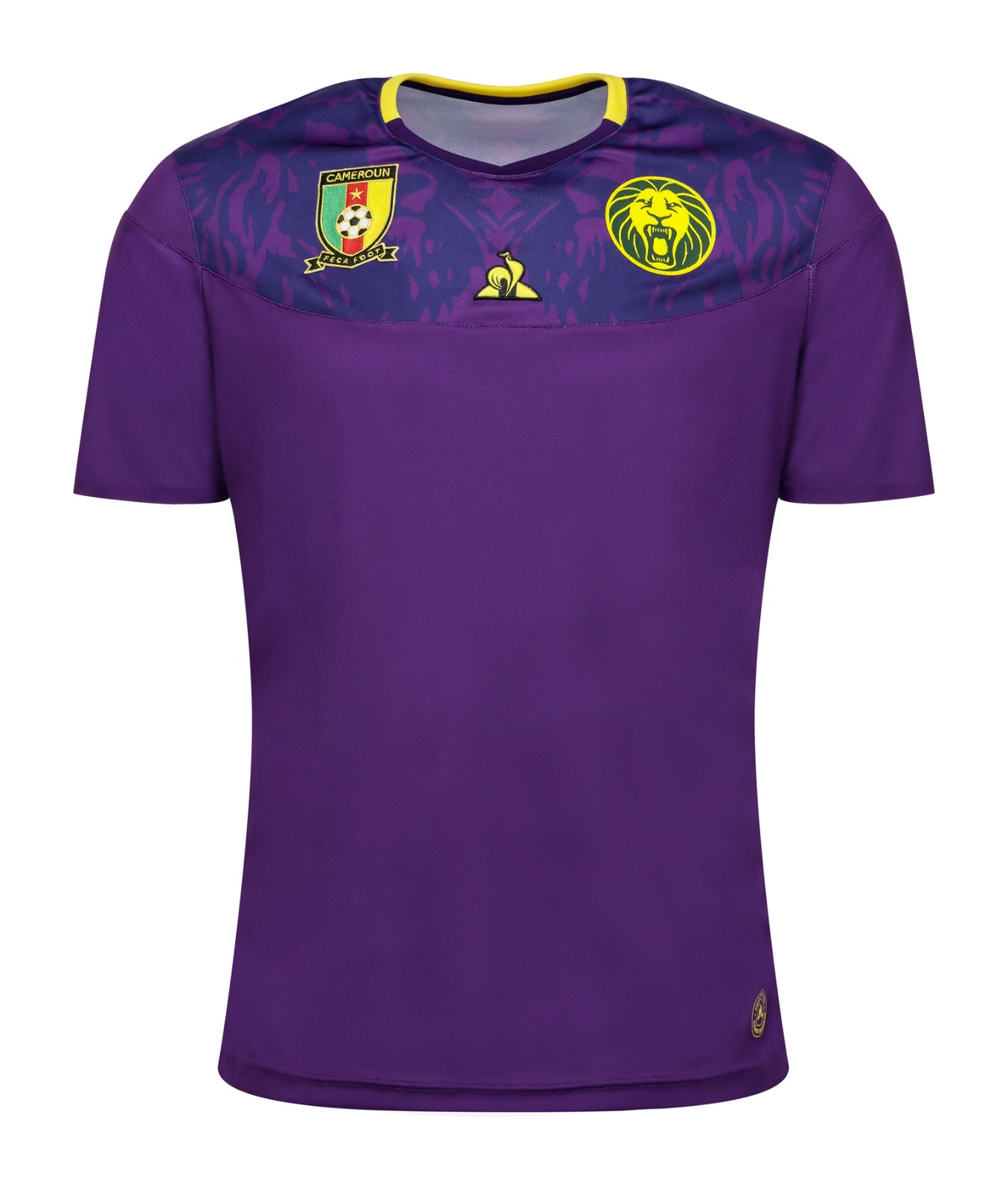 Cameroon 2019 GK 3 Kit