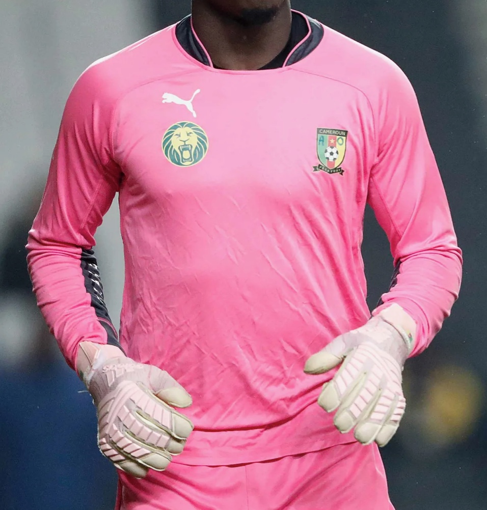 Cameroon 2018 GK 1 Kit