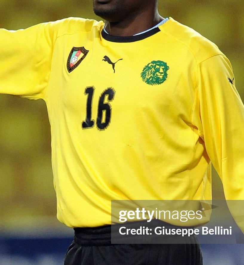 Cameroon 2008 GK 2 Kit