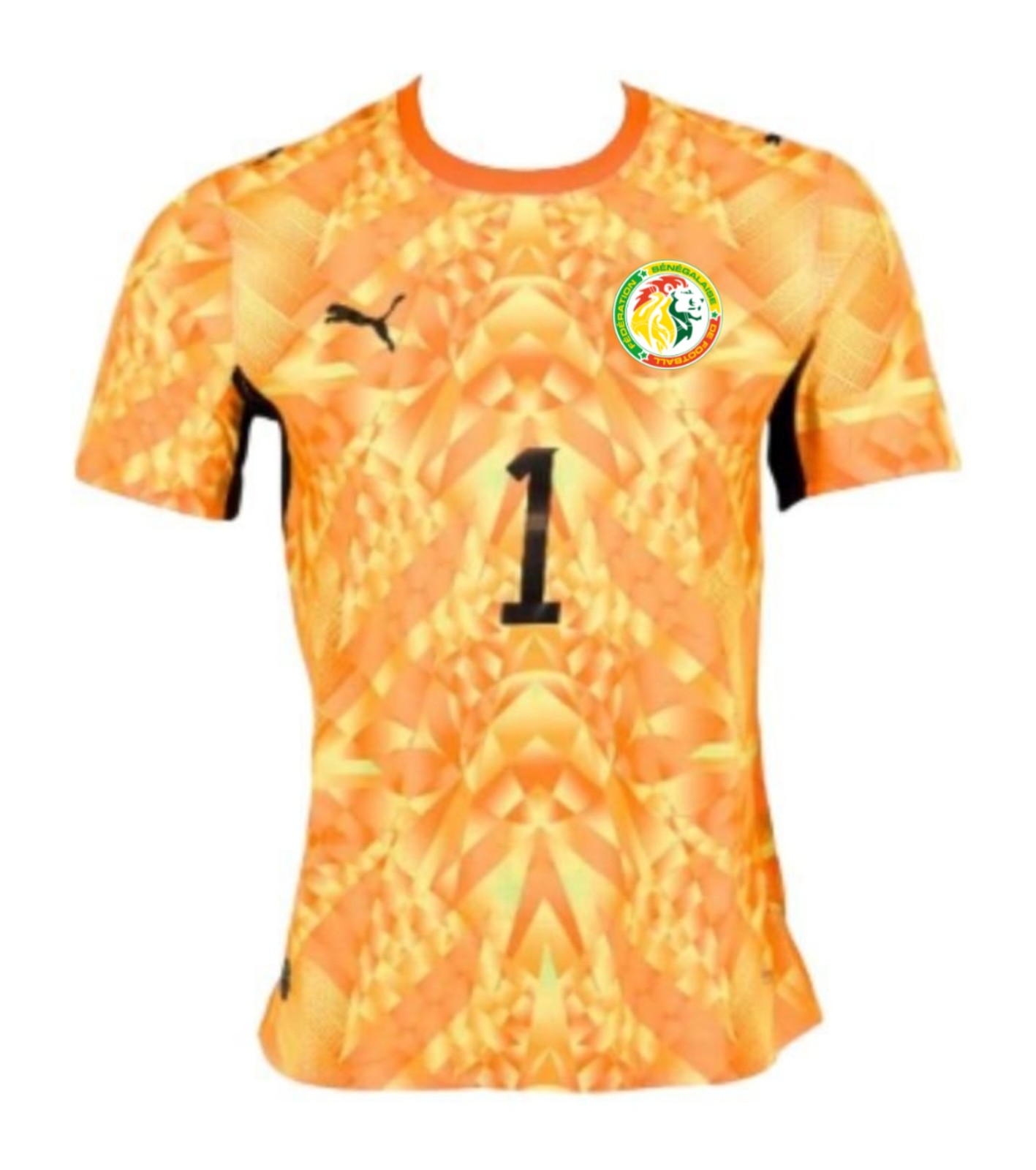 Senegal 2026 GK 4 Kit