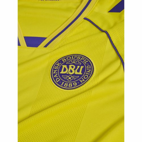 Denmark 2026 GK 3 Kit
