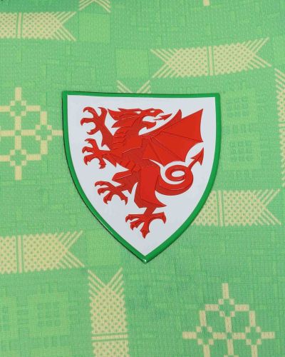 Wales 2026-27 GK 2 Kit