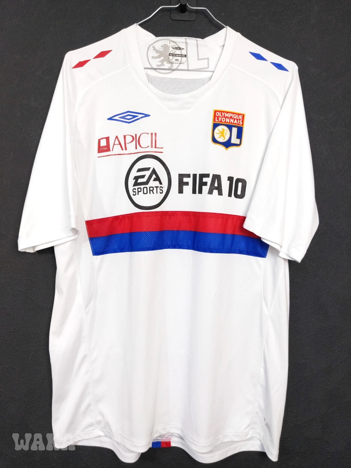 Olympique Lyonnais 2009-10 Home V4 Kit