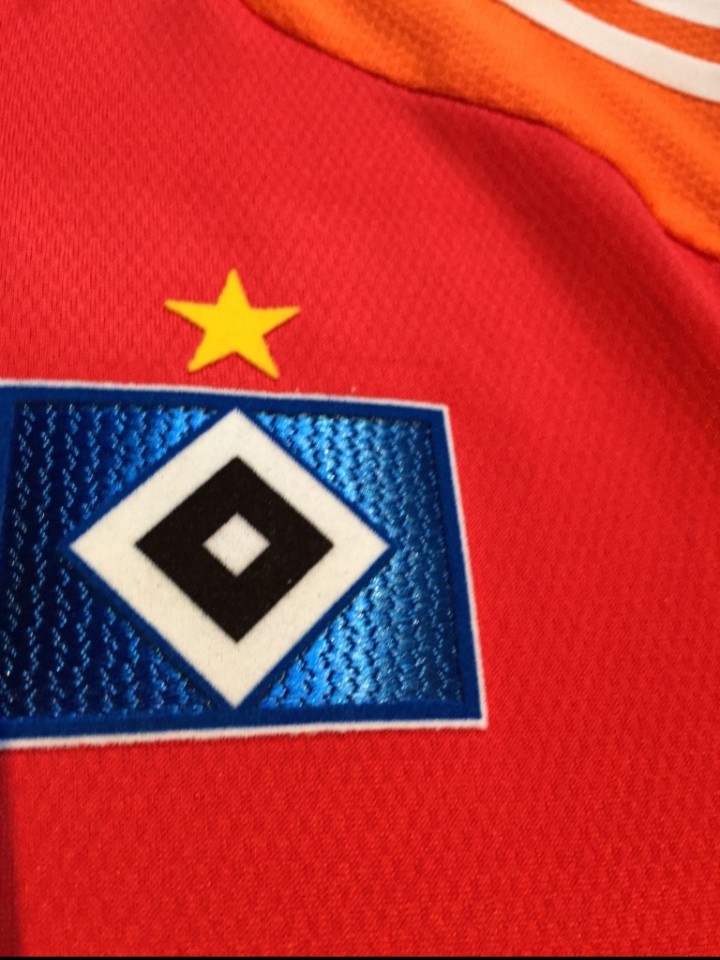 Hamburger SV 2013-14 GK 5 Kit