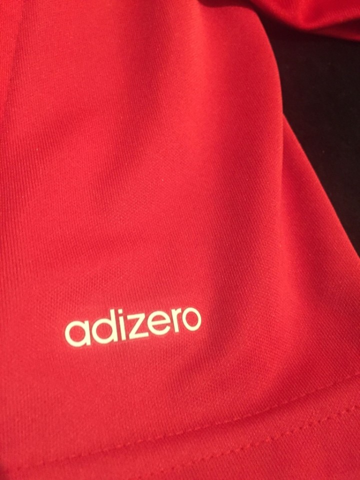 Hamburger SV 2014-15 GK 4 Kit