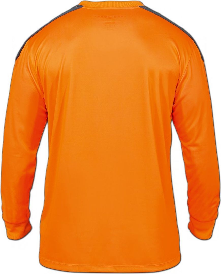 Hannover 96 2015-16 GK 1 Kit