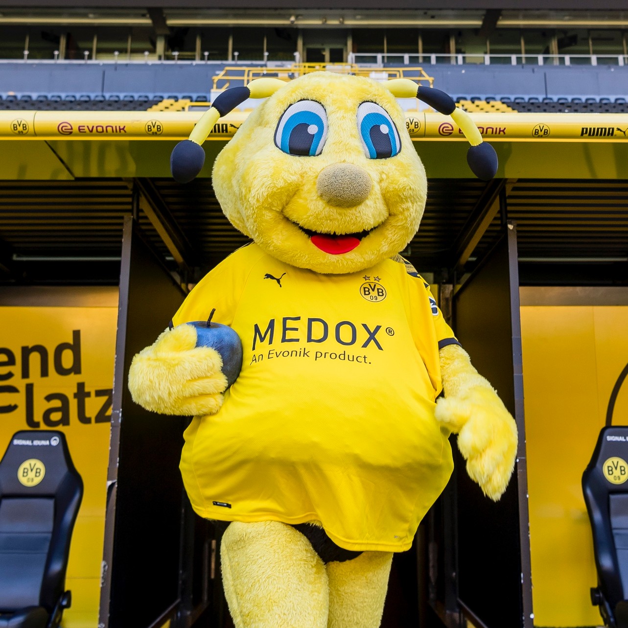 Borussia Dortmund 2019-20 Home V2 Kit