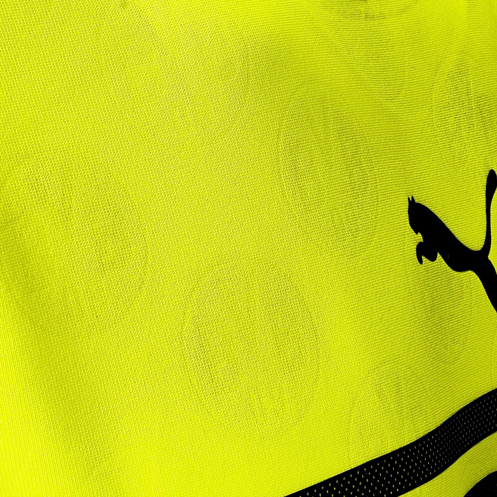 Borussia Dortmund 2021-22 European Kit
