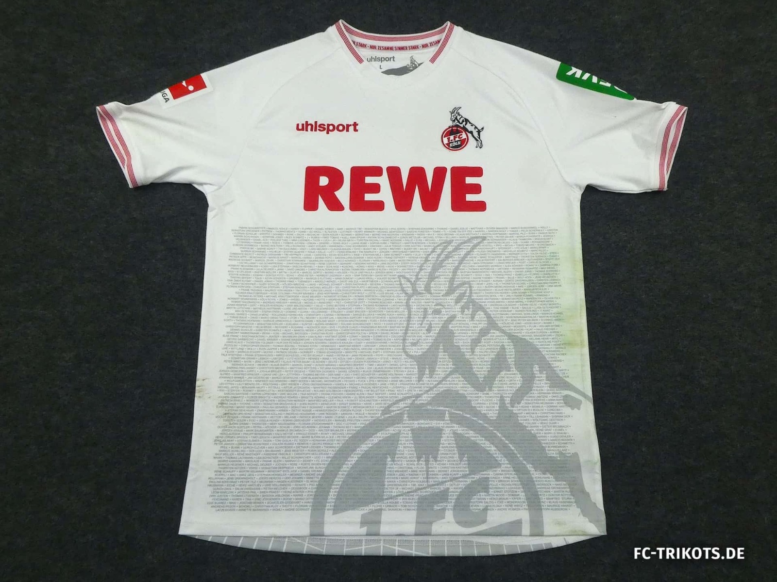 1. FC Köln 2021-22 Special Kit
