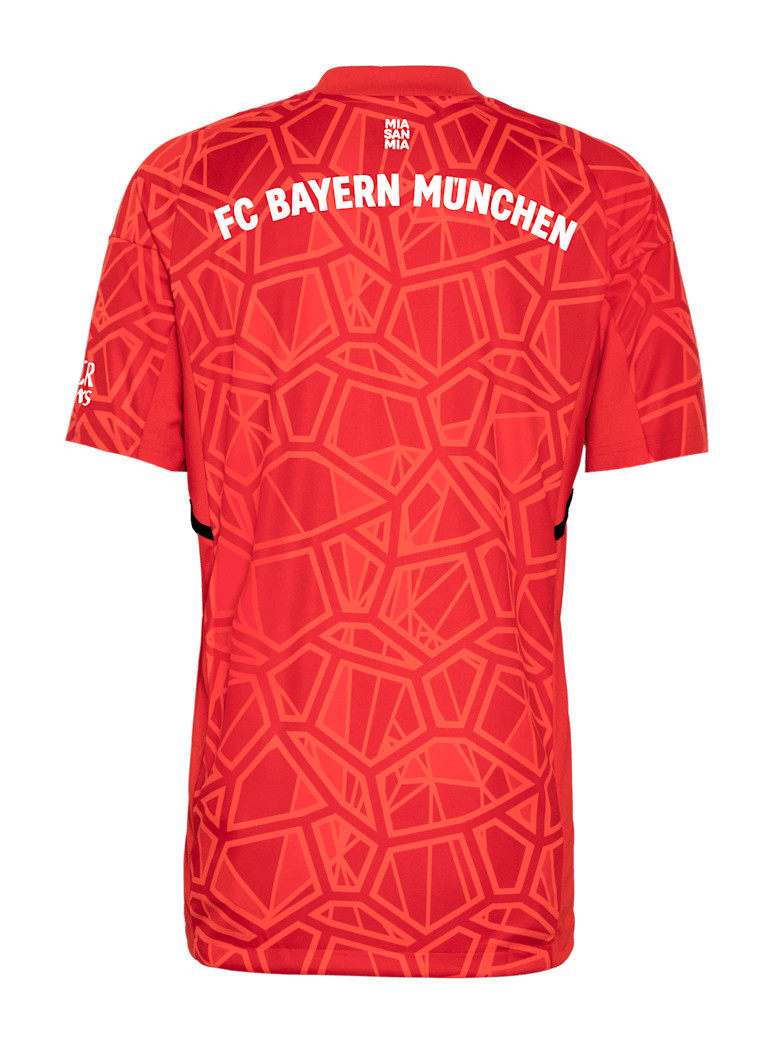 Bayern München 2022-23 GK Third Kit