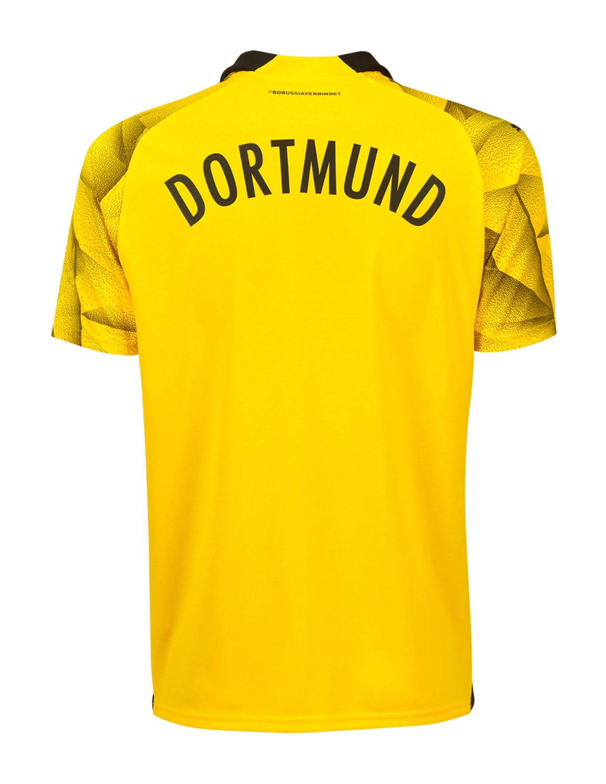 Borussia Dortmund 2023-24 Cup Kit