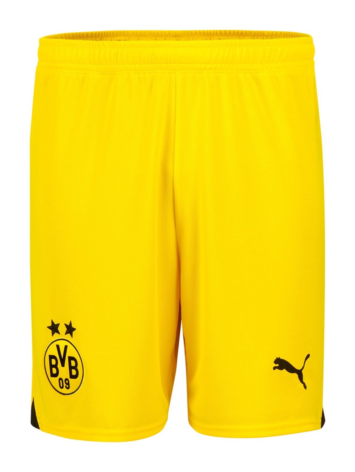 Borussia Dortmund 2023-24 Cup Kit