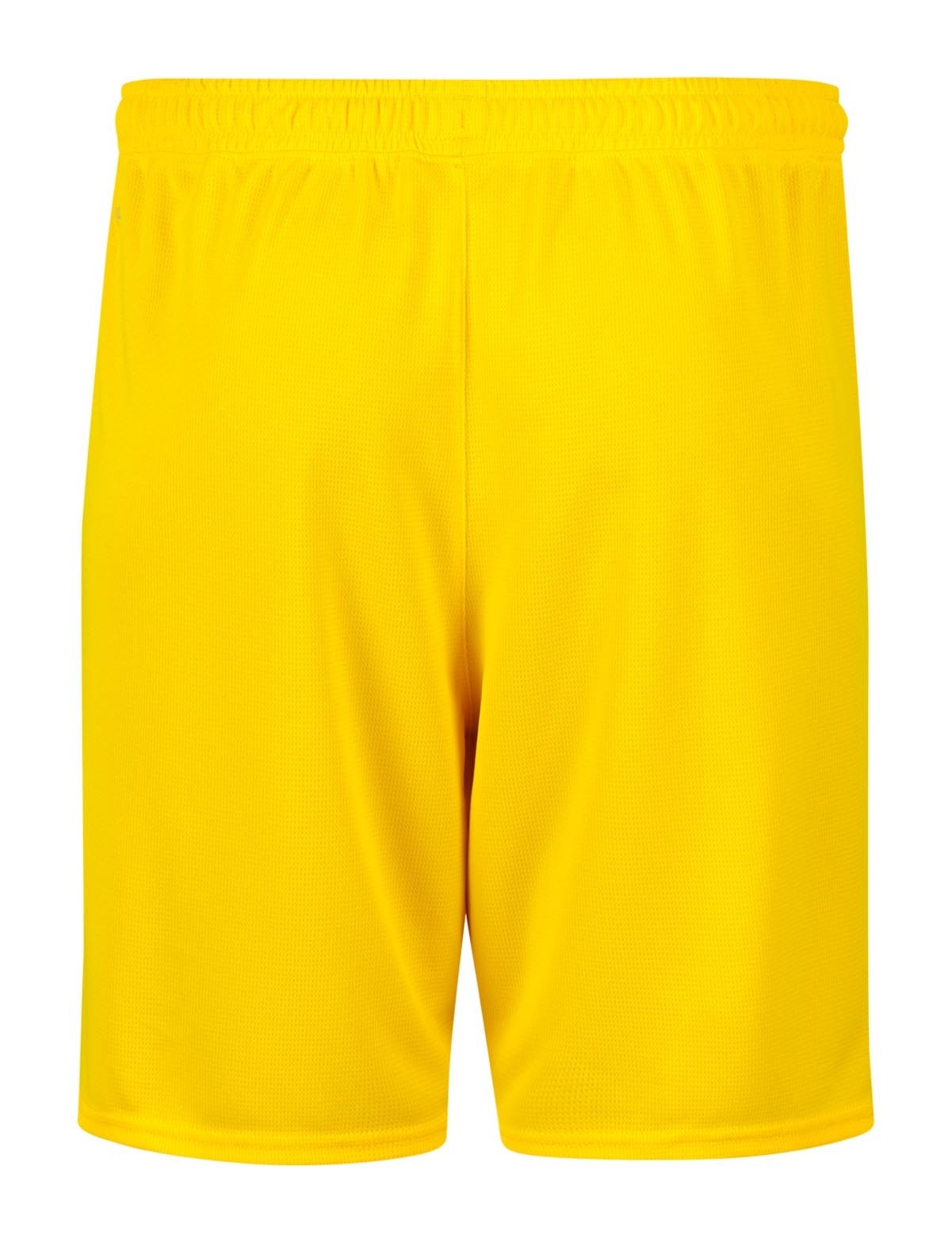 Borussia Dortmund 2023-24 Cup Kit