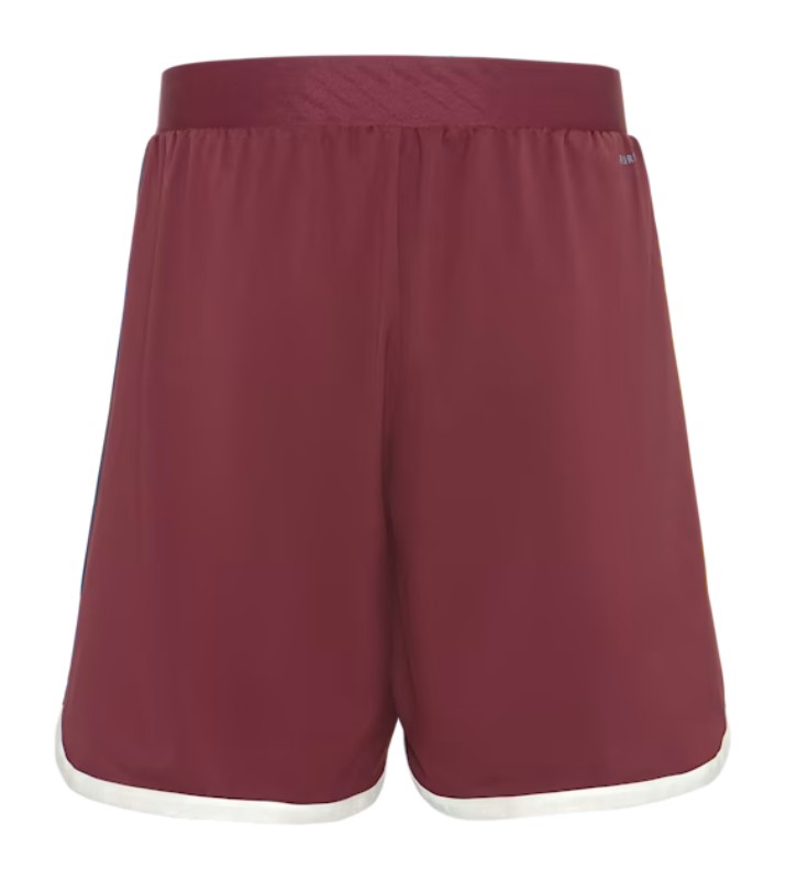 Bayern München 2023-24 Third Kit