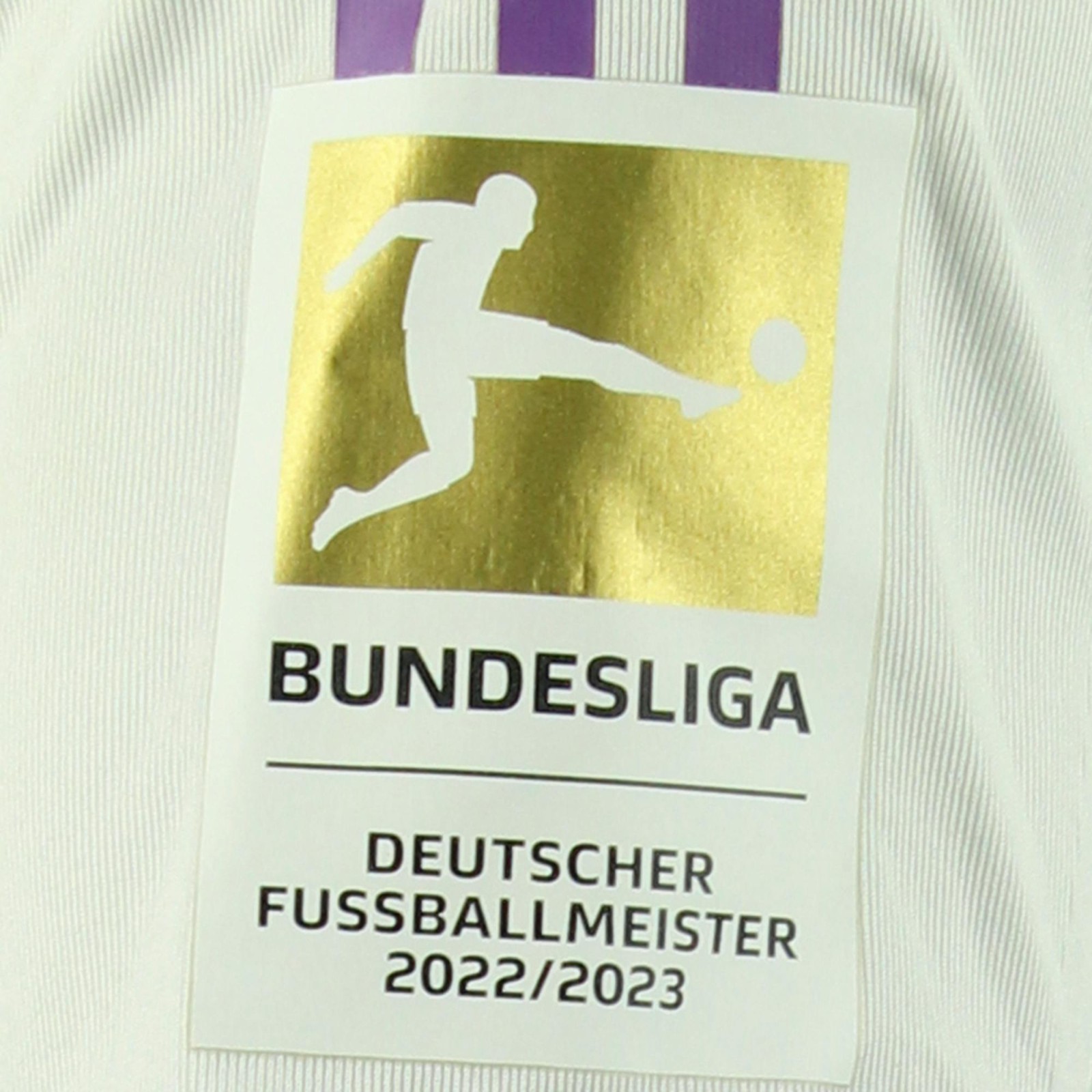 Bayern München 2023-24 GK 4 Kit