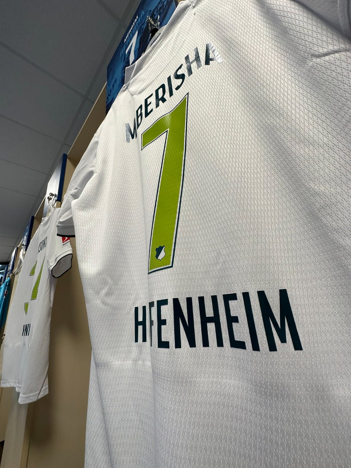 TSG 1899 Hoffenheim 2023-24 Special Kit