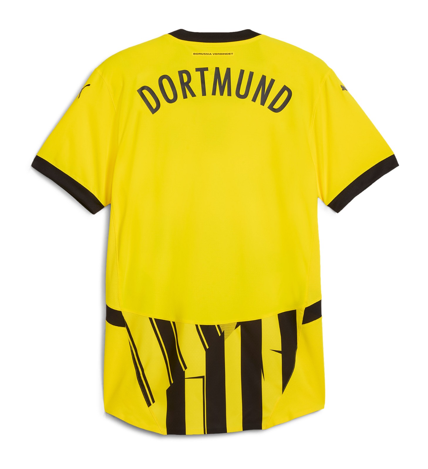 Borussia Dortmund 2024-25 Cup Kit