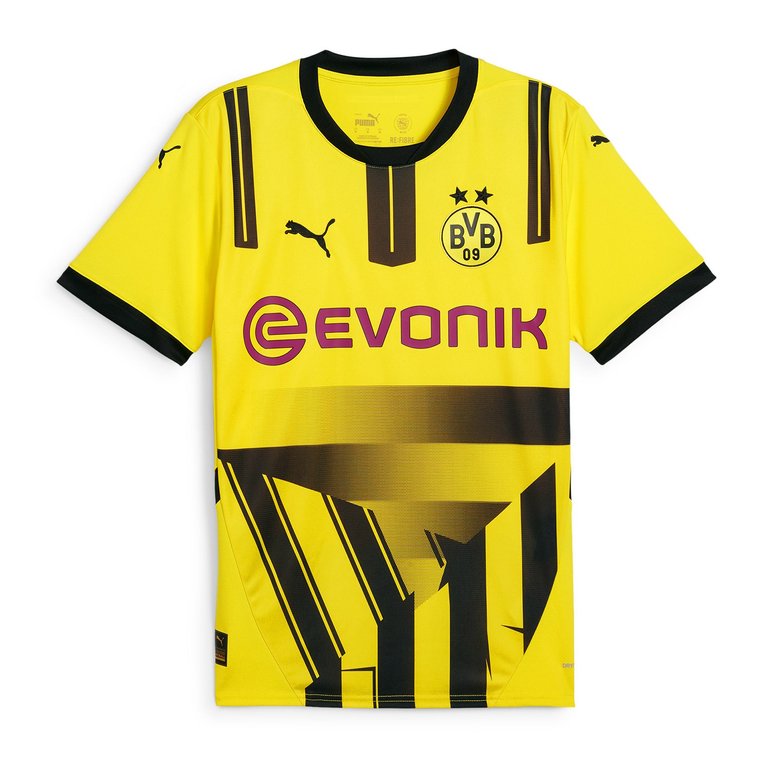 Borussia Dortmund 2024-25 Cup Kit