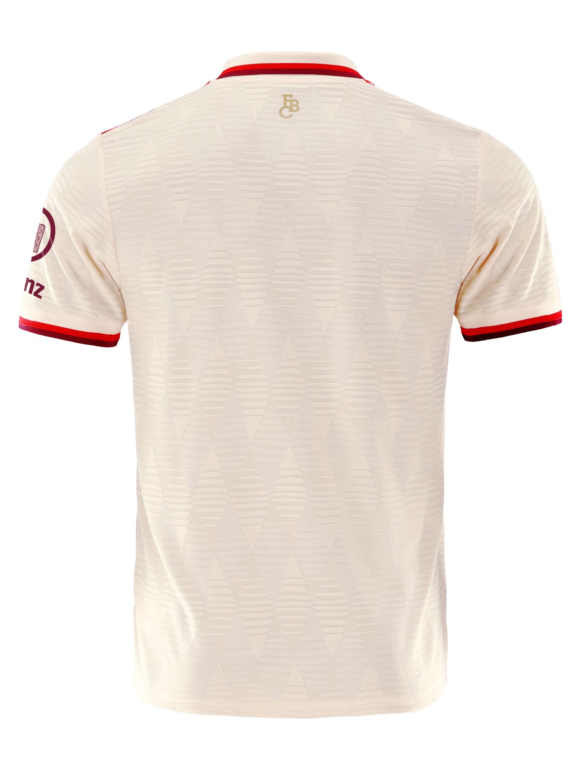 Bayern München 2024-25 Third Kit