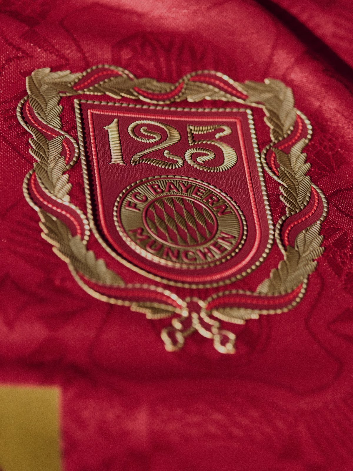 Bayern München 2024-25 Anniversary Kit