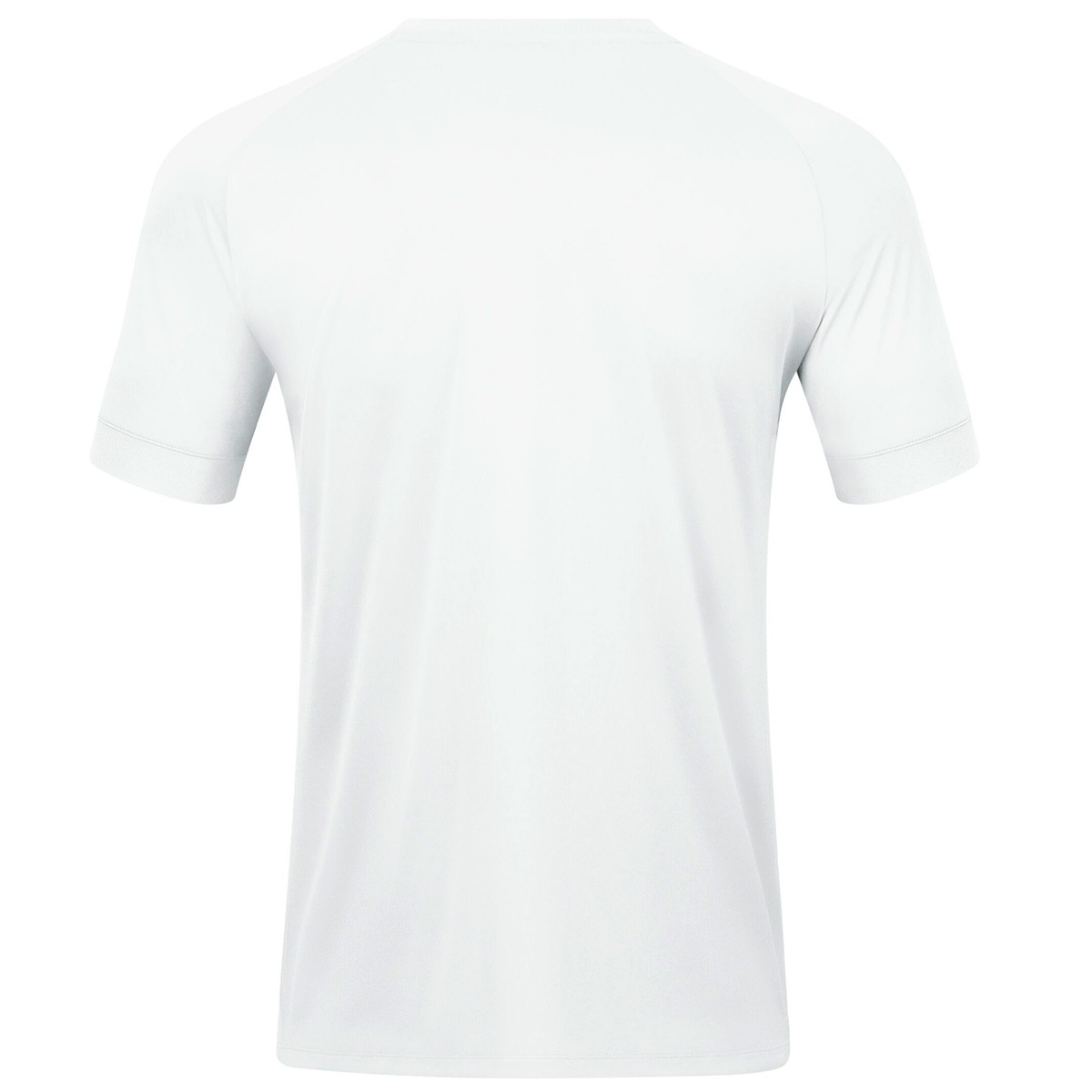 1. FSV Mainz 05 2024-25 GK 1 Kit